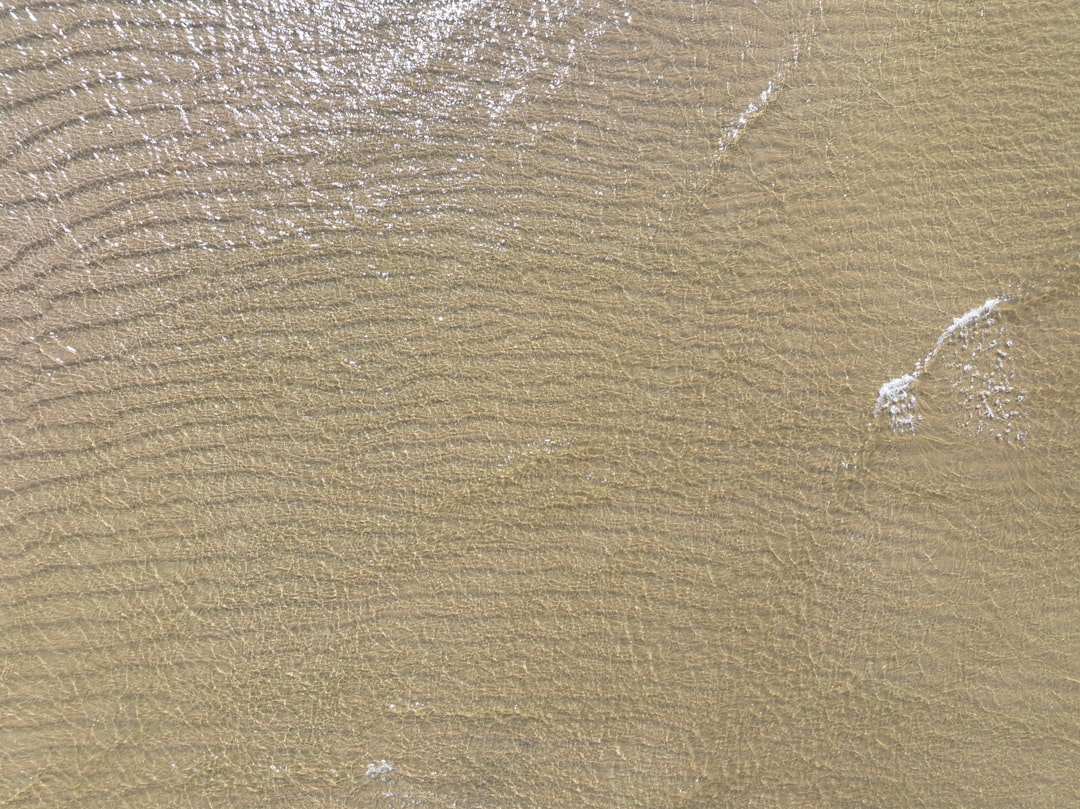 Ripple και x402 Foundation: Νέα ώθηση για τις πληρωμές AI με RLUSD