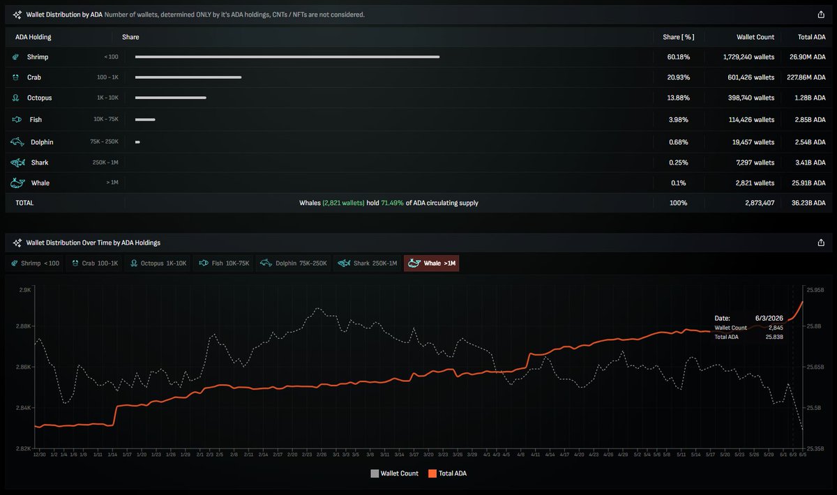 Cardano: «Σφίξιμο» στα short της ADA, ρεκόρ στις whale wallets και το ερώτημα για τον πυθμένα