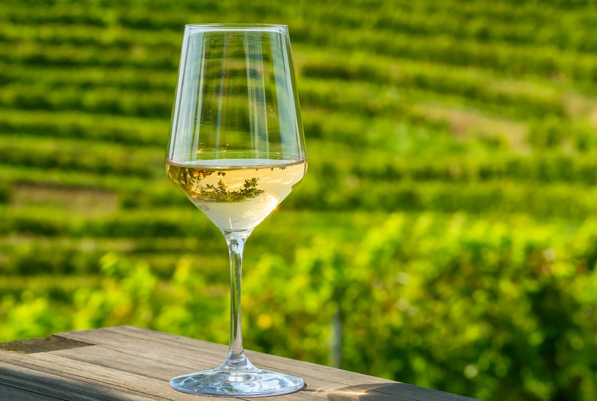 Νέο: Πέντε διακρίσεις για το Κτήμα Άλφα στα USA Wine Ratings 2026